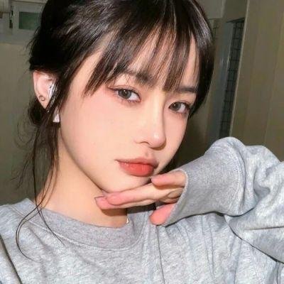 玩具熊的五夜后宫